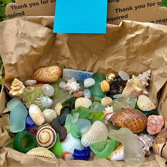 Beach mystery box Sea shells sea glass Puerto Rico Caribbean mermaid treasures - Picture 2 of 3
